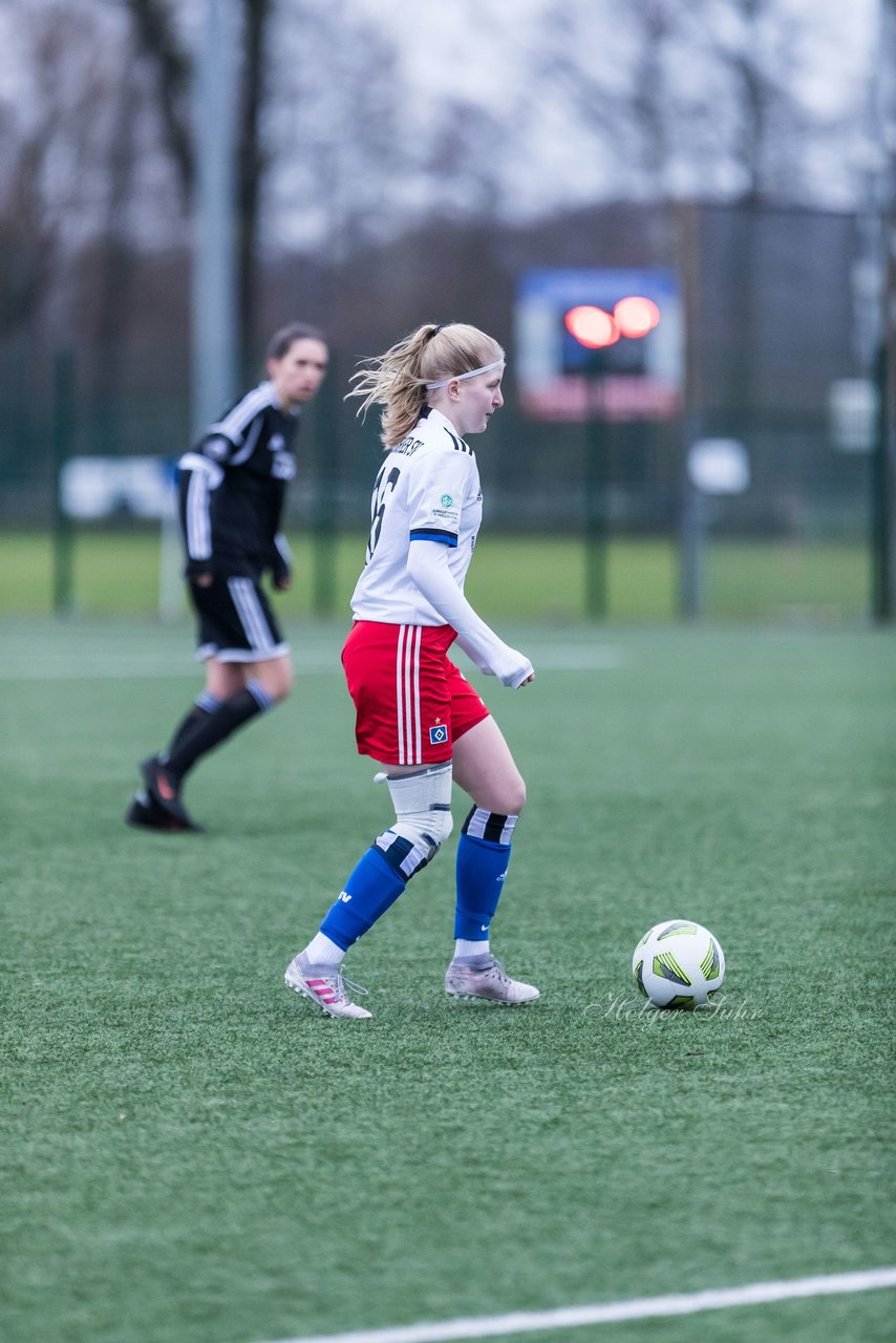 Bild 101 - wBJ HSV - F VfL Jesteburg : Ergebnis: 6:1